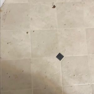 Meet your Posher, Bryant